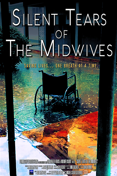 Midwife Vision